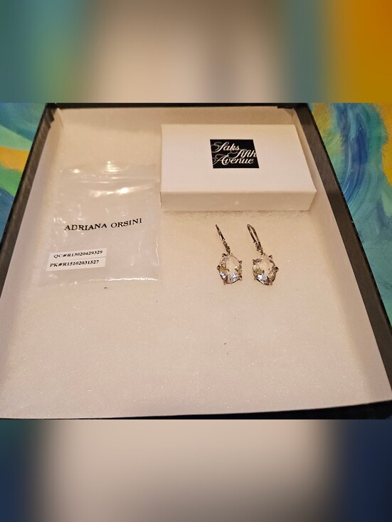 Adriana Orsini Jewelry - Silver Crystal Drop Earrings Adriana Orsini
